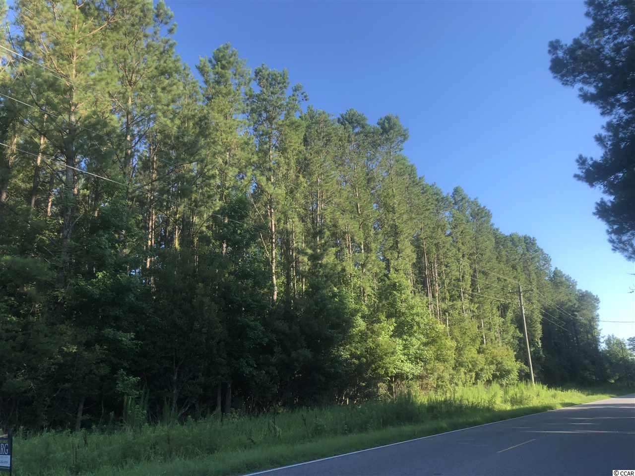 TBD Hemingway Rd. Longs, SC 29568