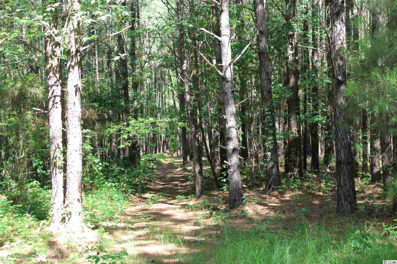 Lot 14 Herman Rd. Loris, SC 29569