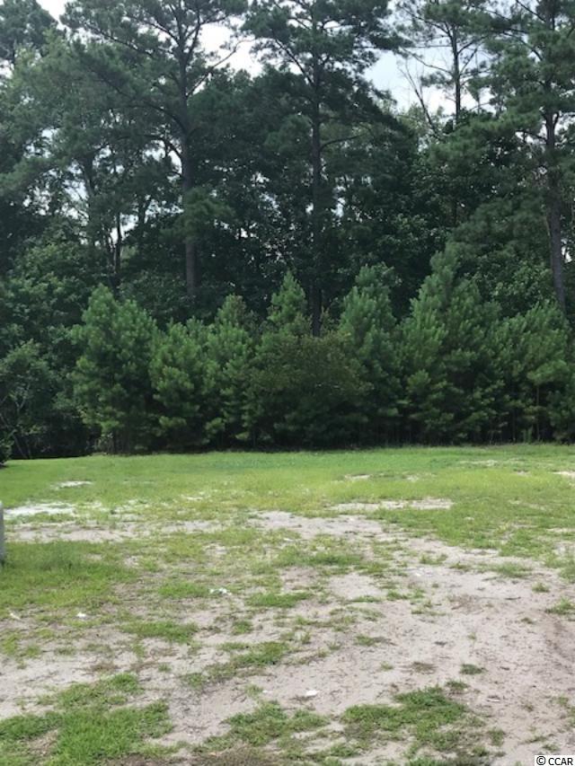 3081 Moss Bridge Ln. Myrtle Beach, SC 29579