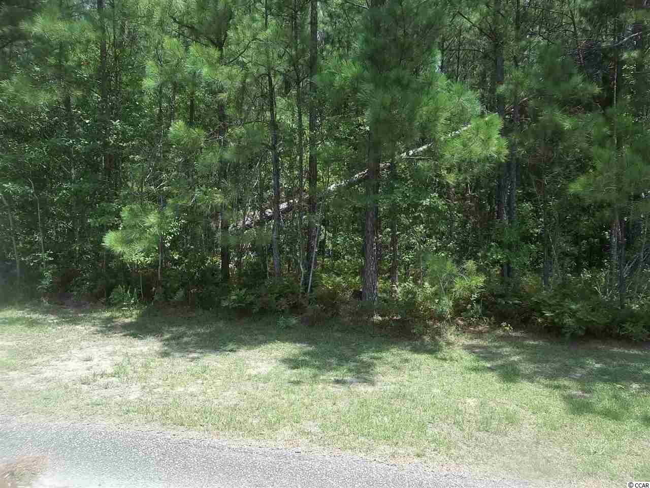 8 Scenic Dr. Loris, SC 29569