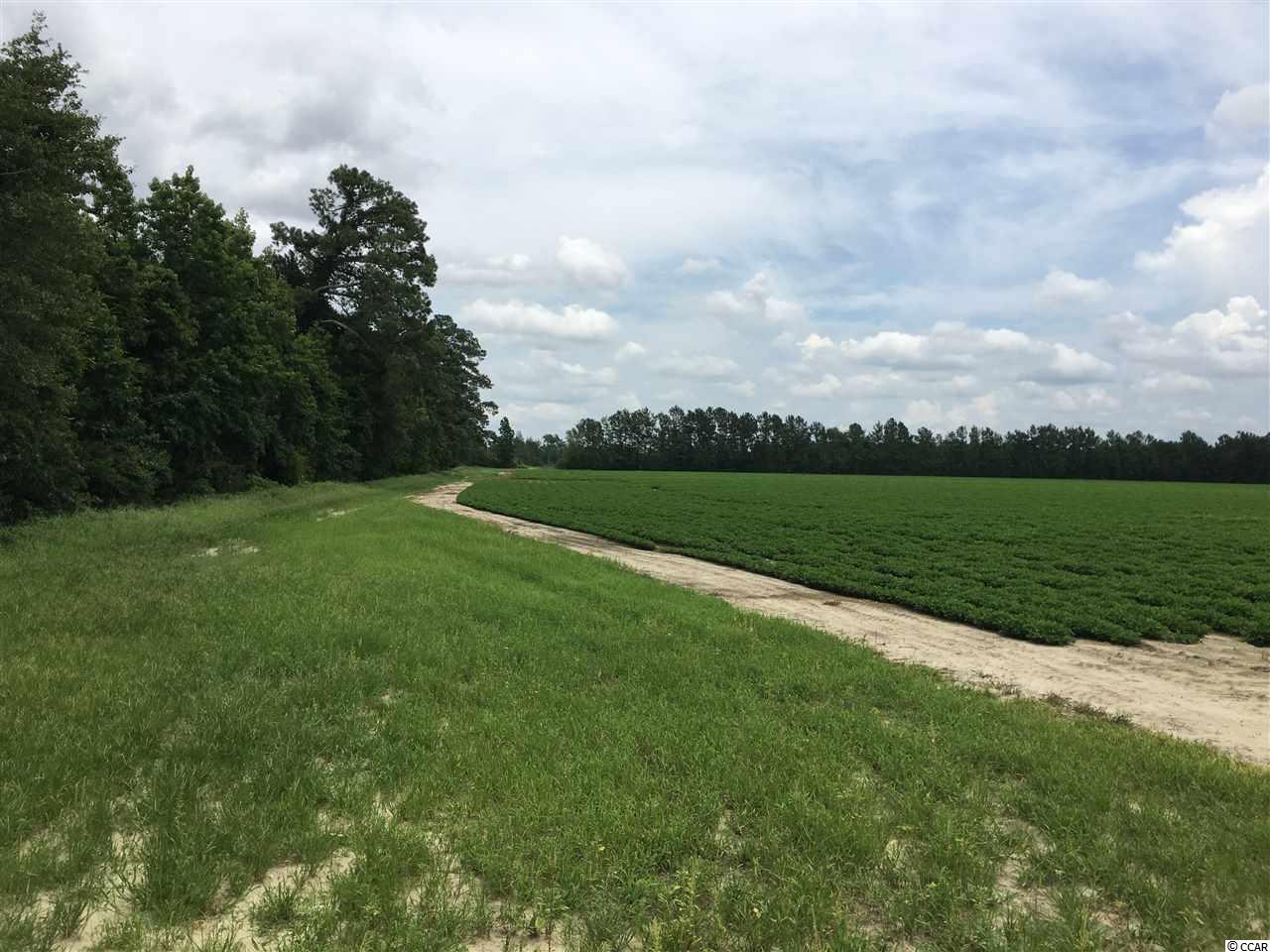 TBD Huckleberry Rd. Galivants Ferry, SC 29544