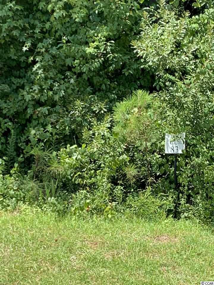 100 Rivers Edge Dr. Conway, SC 29526