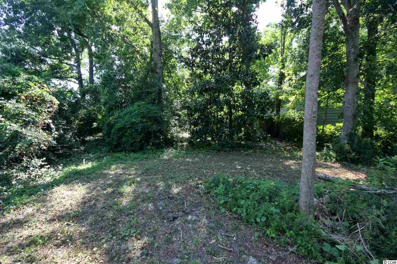 Lot 310 29th Ave. S Atlantic Beach, SC 29582