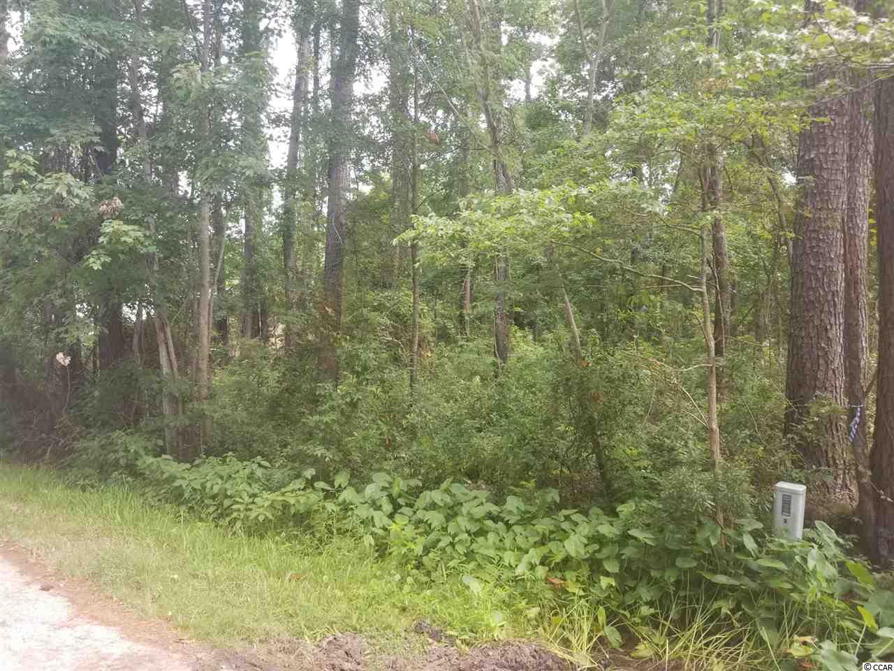 Lot 6 Gray Man's Loop Pawleys Island, SC 29585