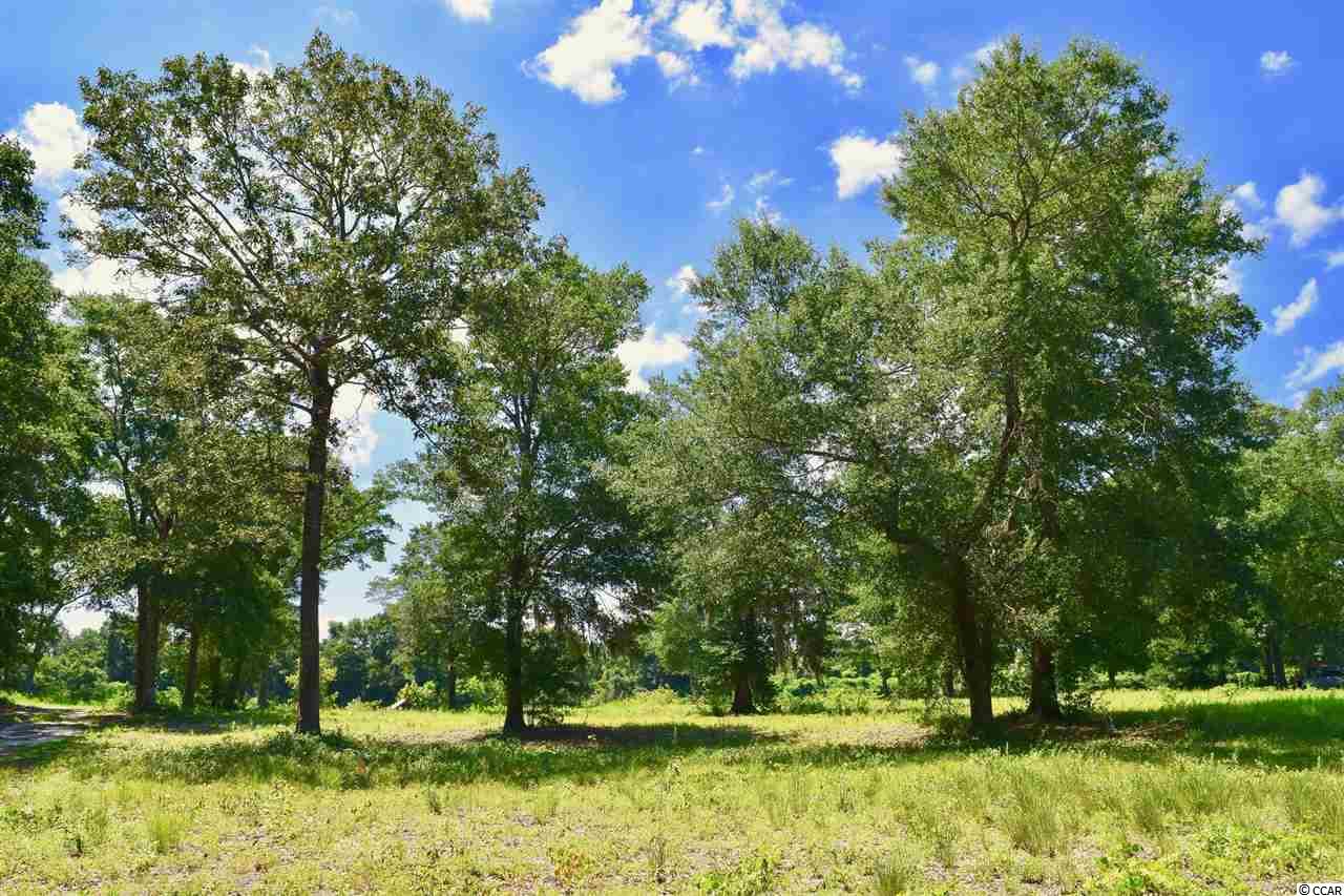 4202 Grey Heron Dr. North Myrtle Beach, SC 29582