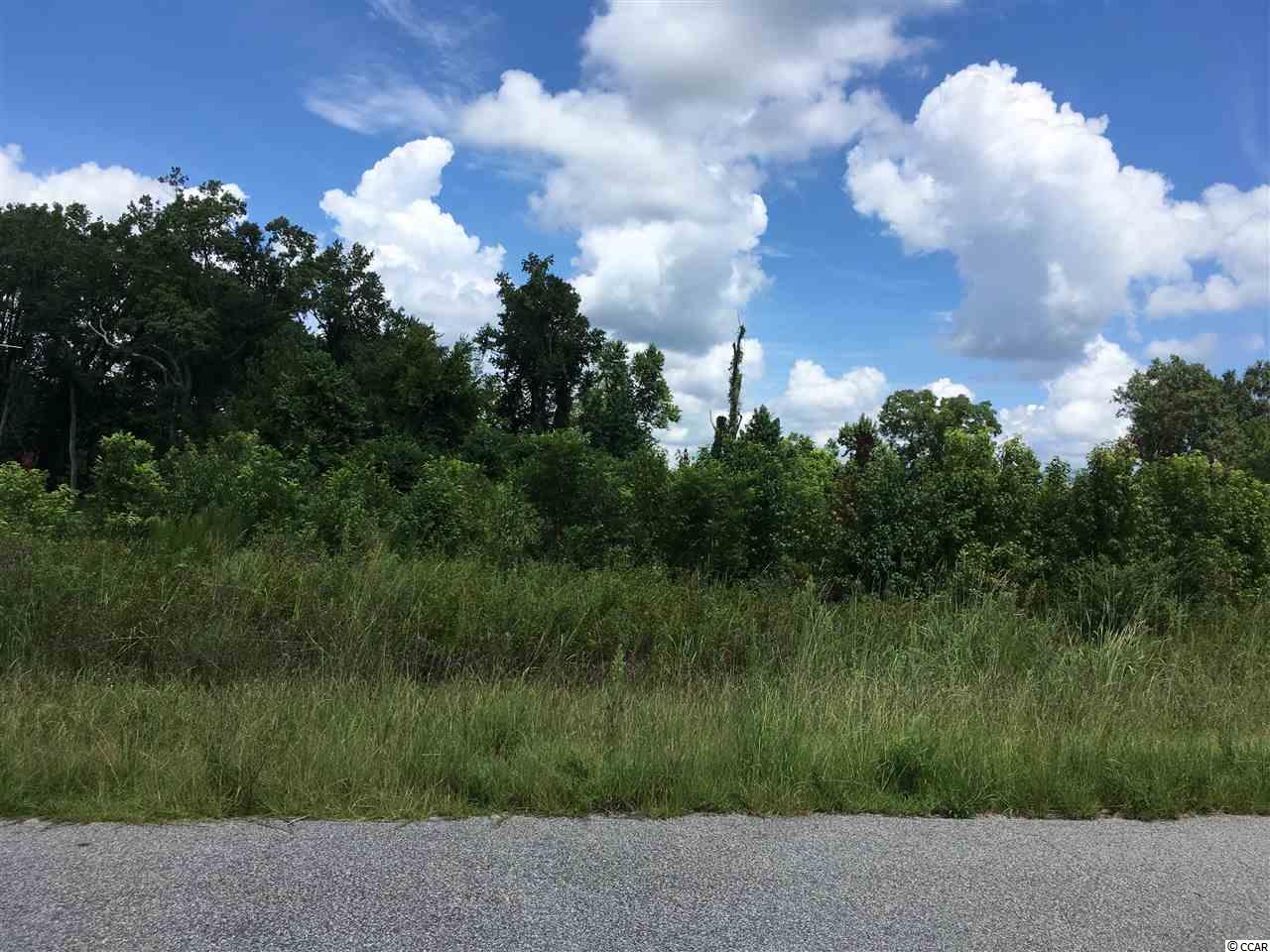 Lot 6 Ole Nobleman Ct. Conway, SC 29527