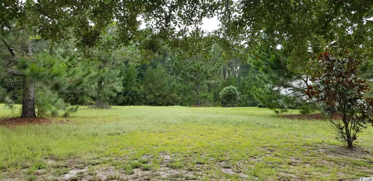 1025 Spoonbill Dr. Conway, SC 29526