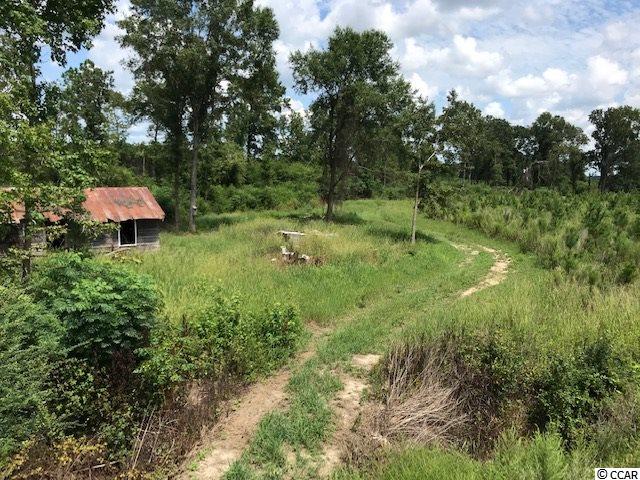 TBD Wahee Rd. Marion, SC 29571