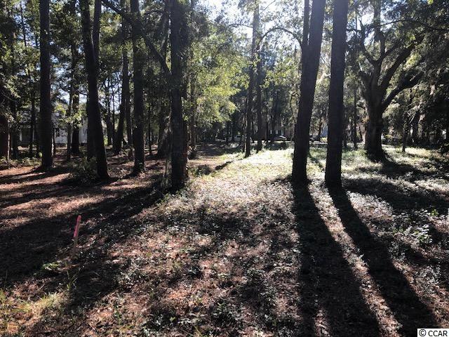 lot 17 Cabiniss Ln. Pawleys Island, SC 29585