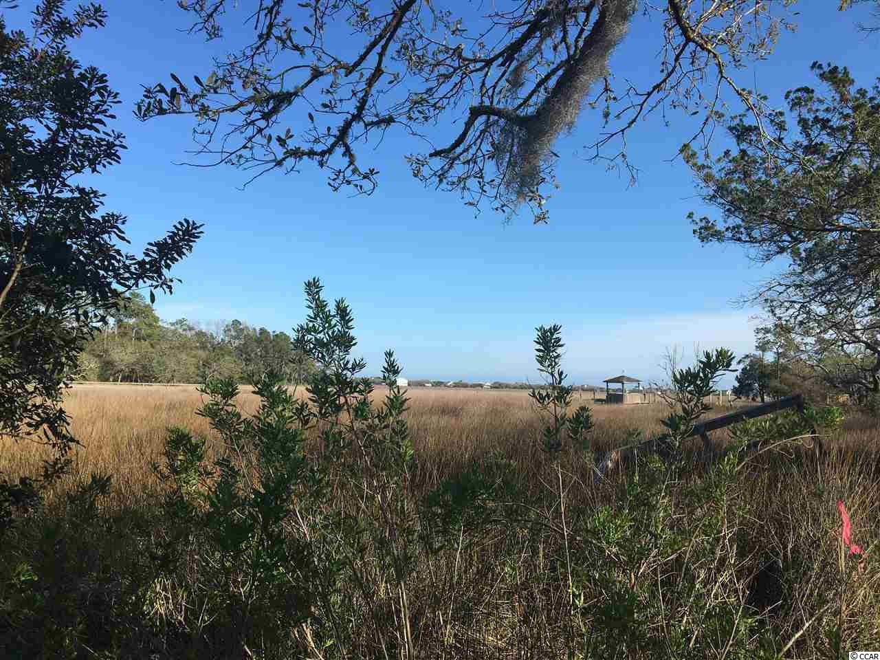 180 Watson Way Pawleys Island, SC 29585