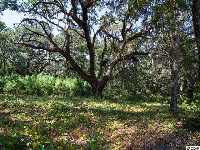 Lot N Tuckers Rd. Pawleys Island, SC 29585