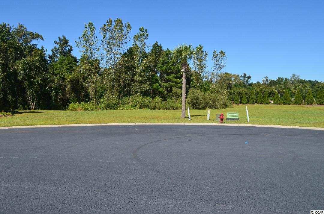 420 Plantation Oaks Dr. Myrtle Beach, SC 29579