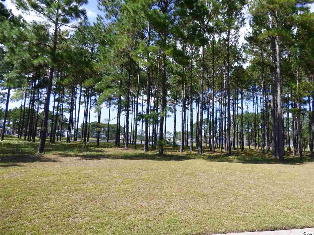 919 Fiddlehead Way Myrtle Beach, SC 29579