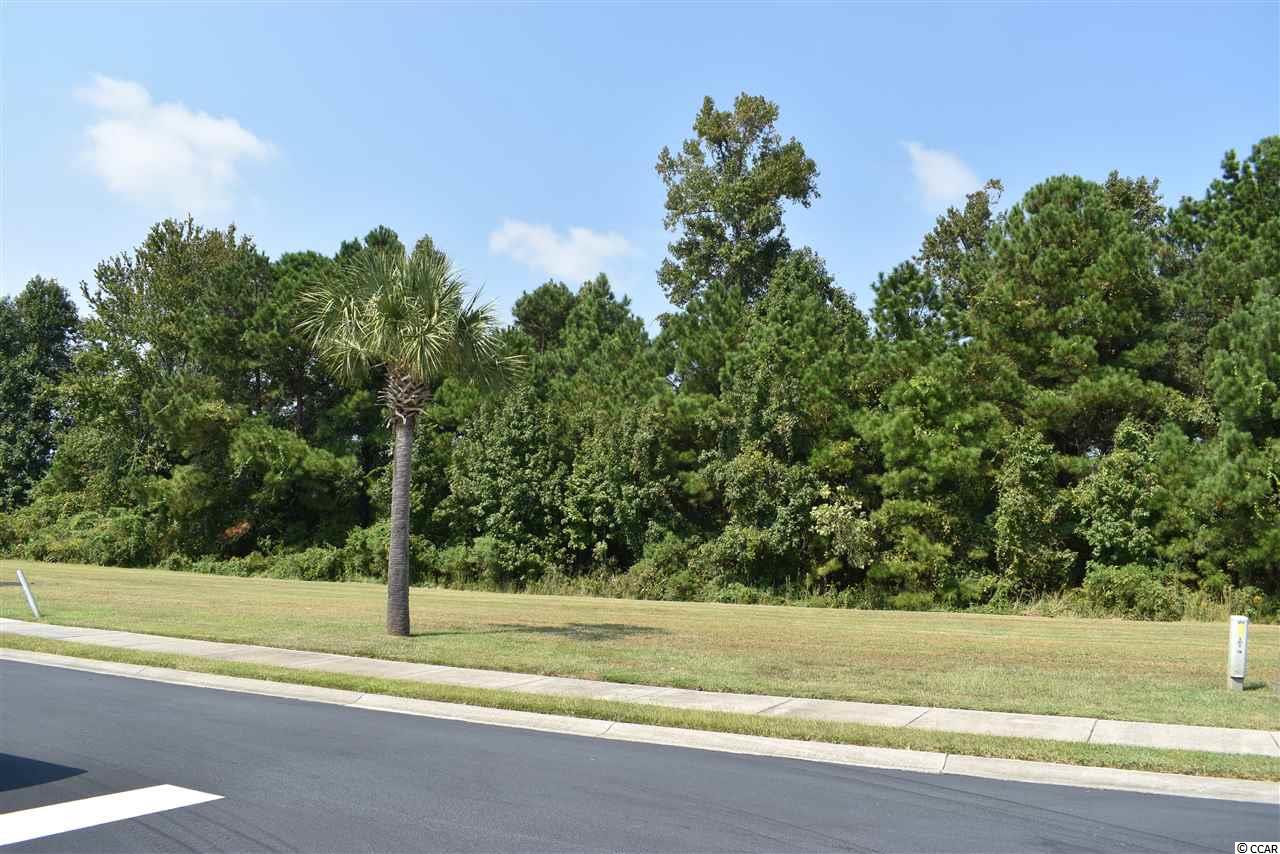 456 Plantation Oaks Dr. Myrtle Beach, SC 29579