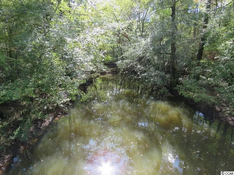 Tract 2 Swimming Hole Rd. Delco, NC 28436