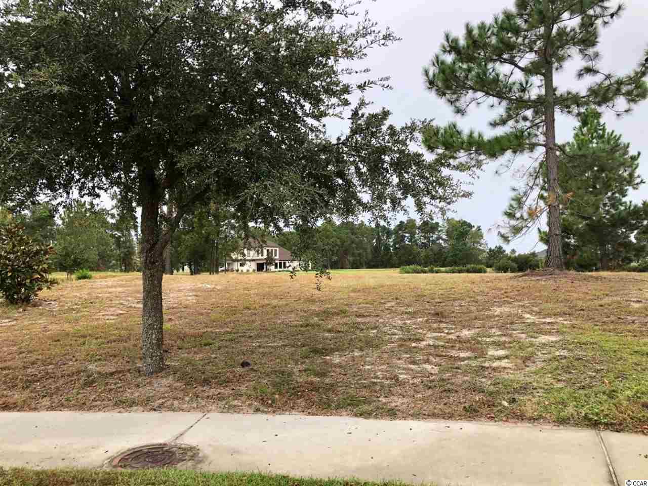 1042 Muscovy Pl. Conway, SC 29526