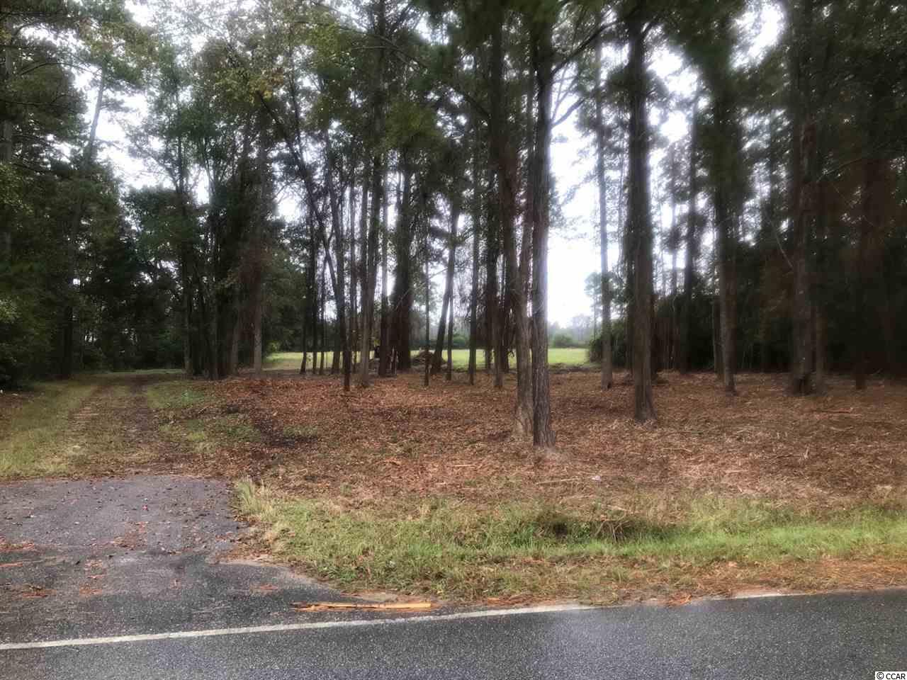 2.6 Acres Long Avenue Ext. Conway, SC 29526