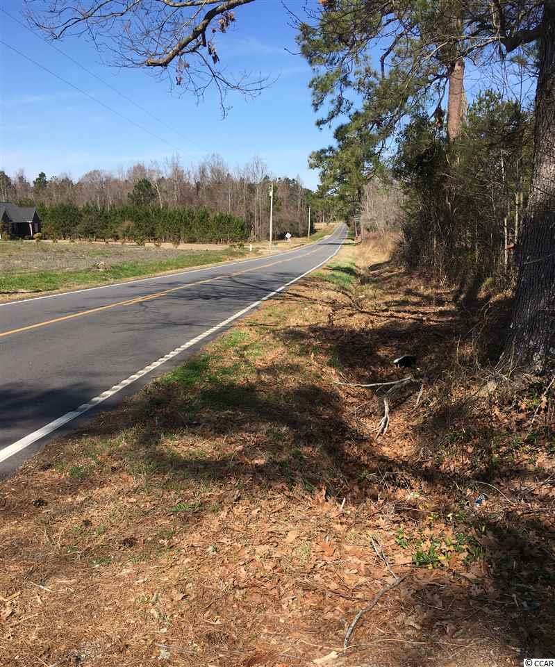 Lot 2 Evans Branch Court Galivants Ferry, SC 29544