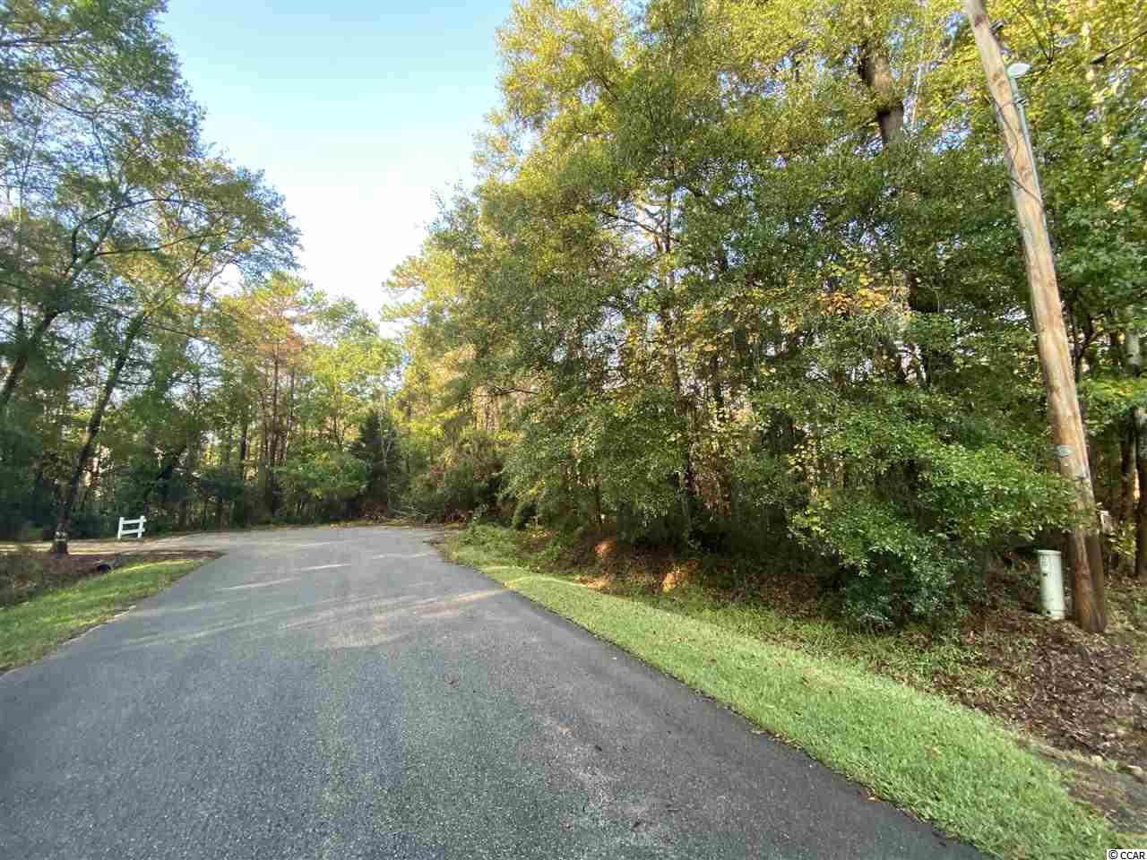 425 Otter Run Rd. Pawleys Island, SC 29585