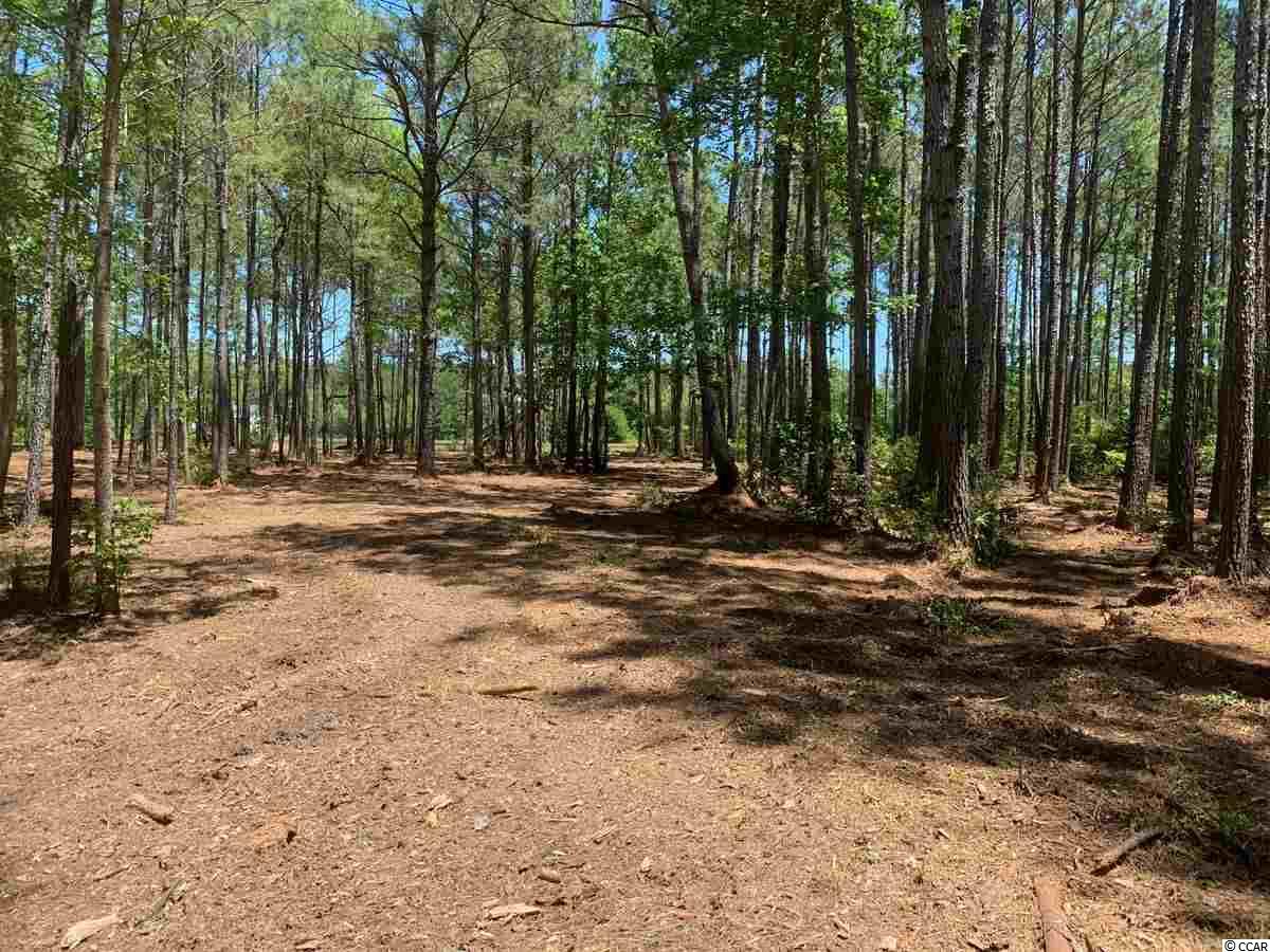 2701 Vanderbilt Blvd. Pawleys Island, SC 29585