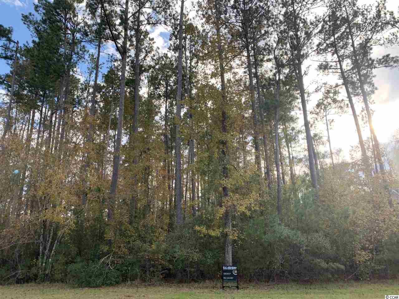 Lot 161 Trestle Way Conway, SC 29526