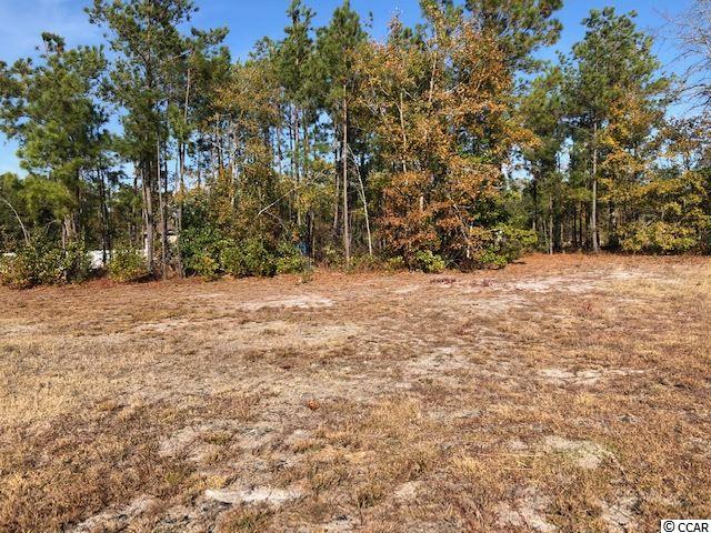 Lot 4 Alpharetta Ct. Conway, SC 29526