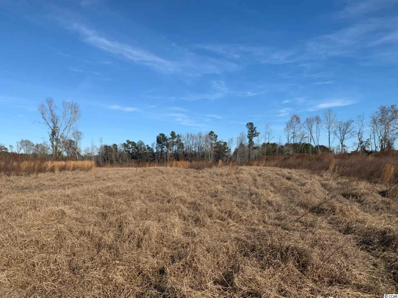 26+/- Muddy Creek Rd. Hemingway, SC 29554