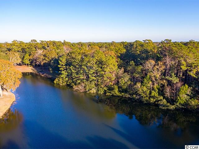 LOT 205 Pinckney Rd. Georgetown, SC 29440
