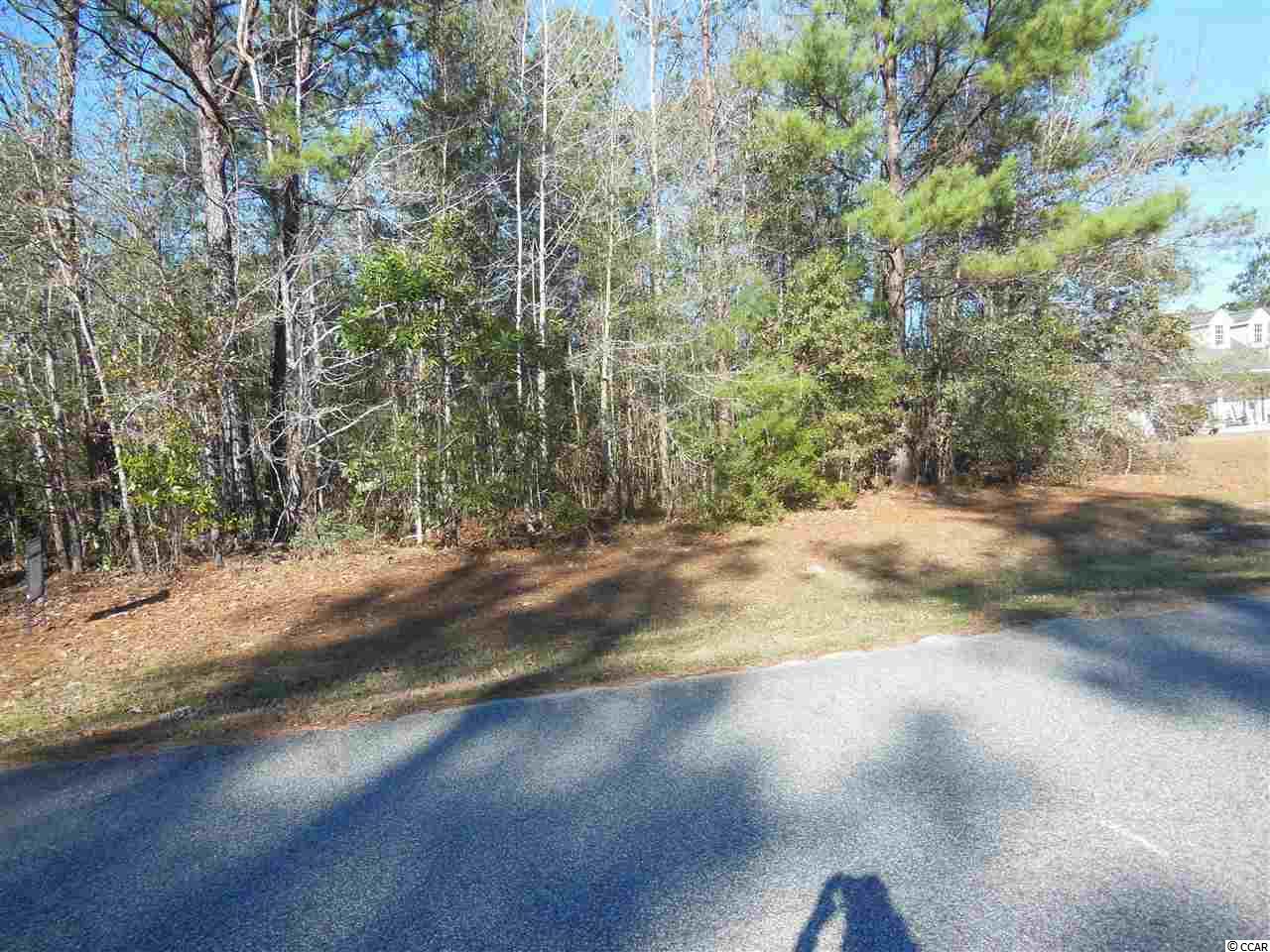 242 Cat Tail Bay Dr. Conway, SC 29527