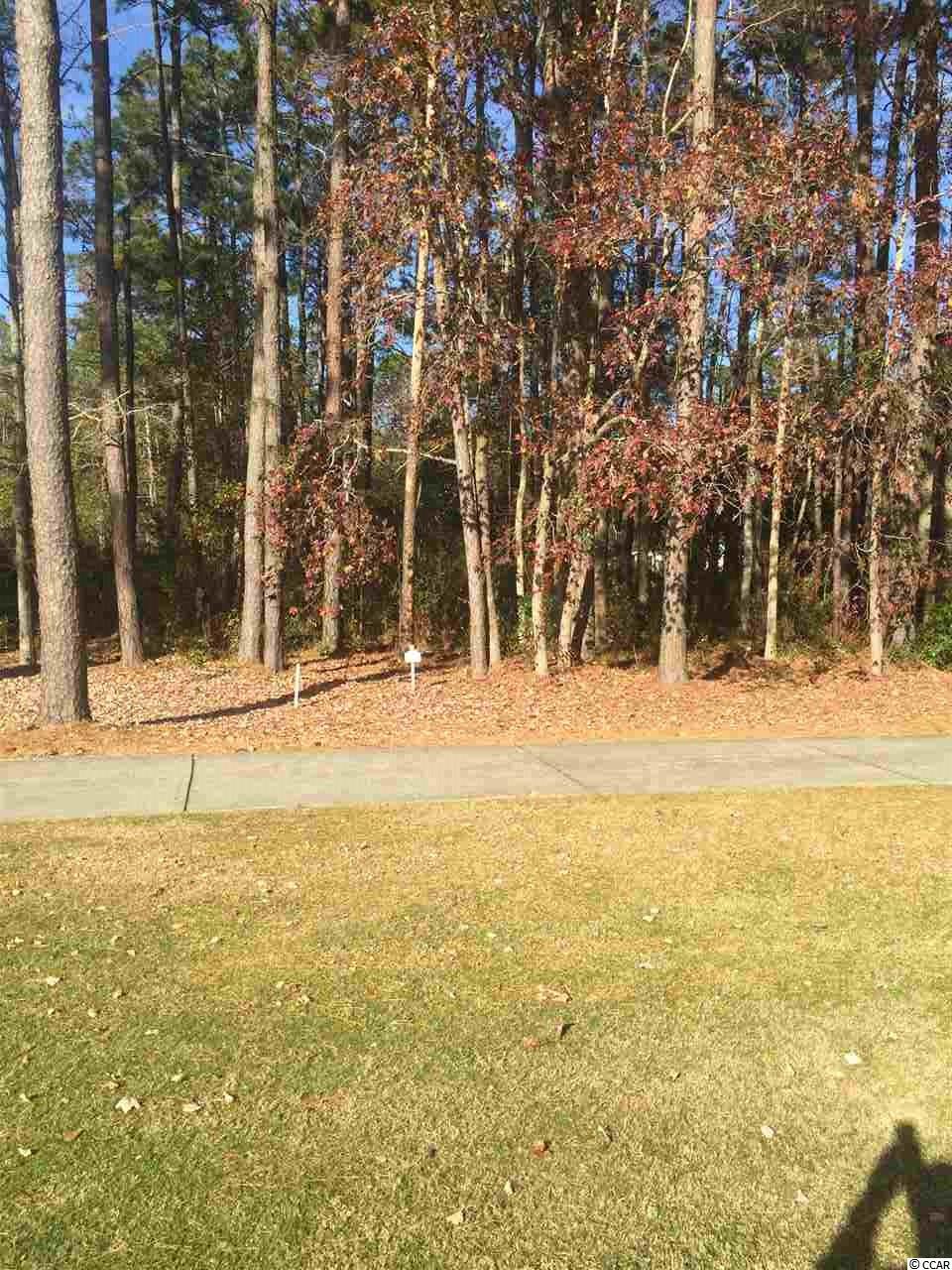 Lot C-9 Cameron Ct. Pawleys Island, SC 29585