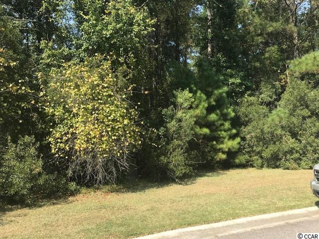 Lot 110 Damon Loop Murrells Inlet, SC 29576