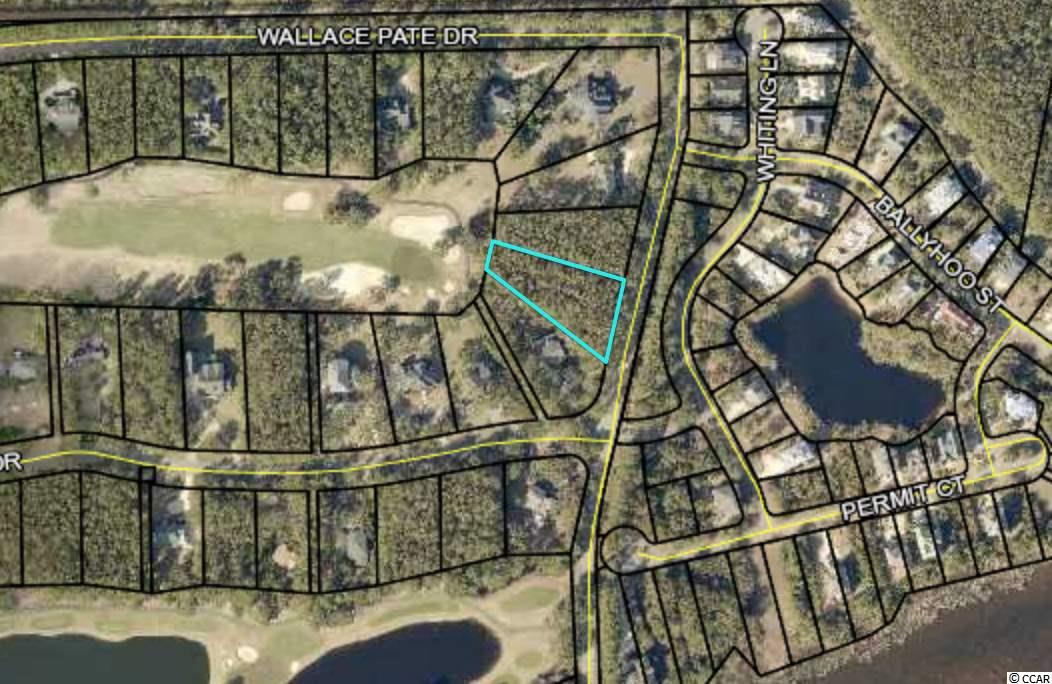 Lot 328 Wallace Pate Dr. Georgetown, SC 29440