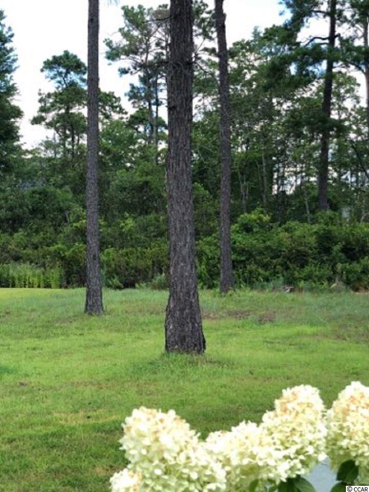 2620 Painted Trillium Ct. Myrtle Beach, SC 29579