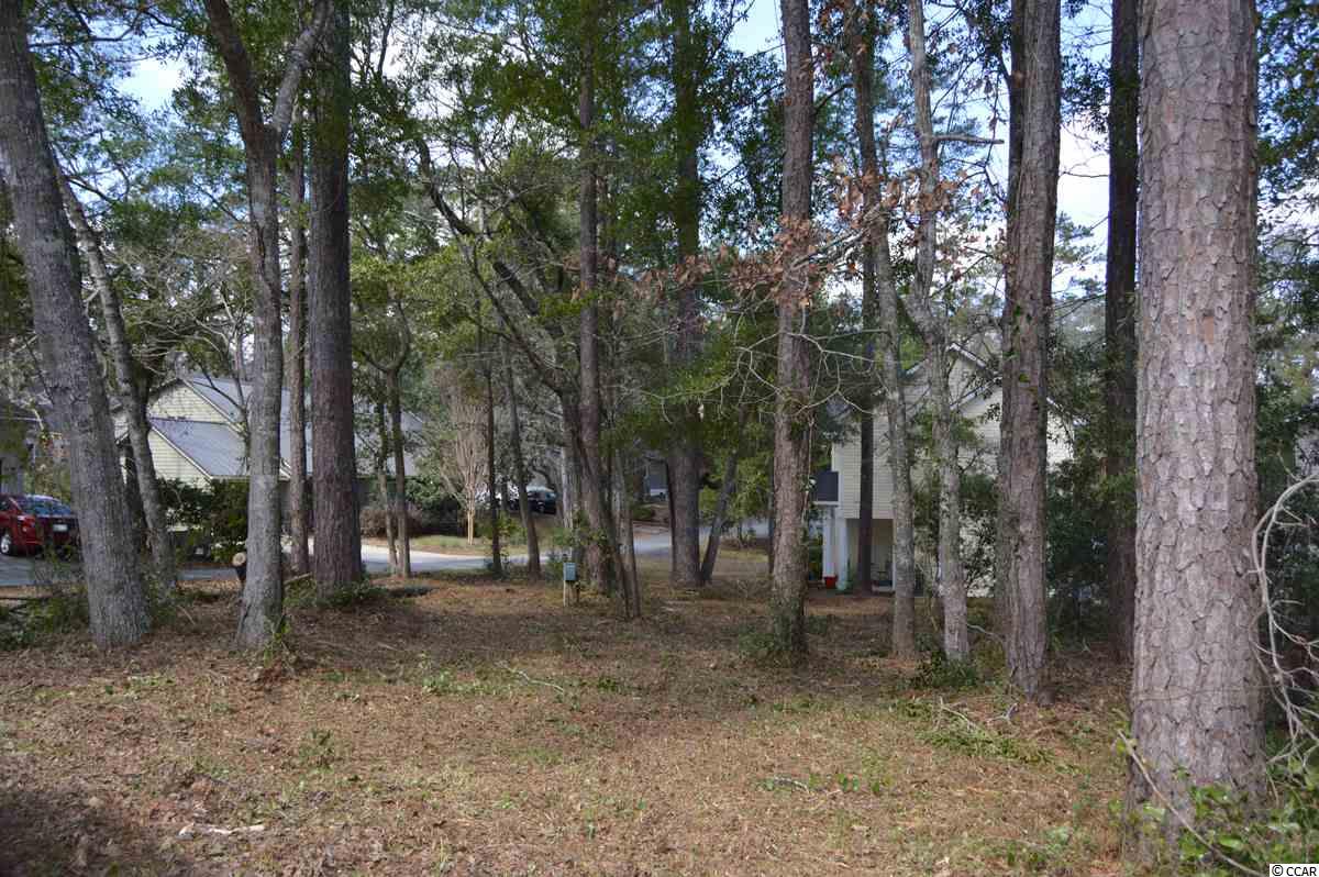 2161 Gamecock Circle Little River, SC 29566
