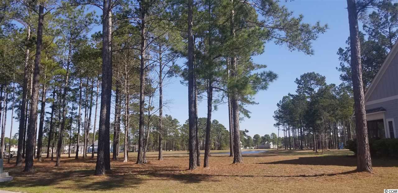 650 Waterbridge Blvd. Myrtle Beach, SC 29579