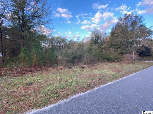 482 Greenfield Rd. Pawleys Island, SC 29585