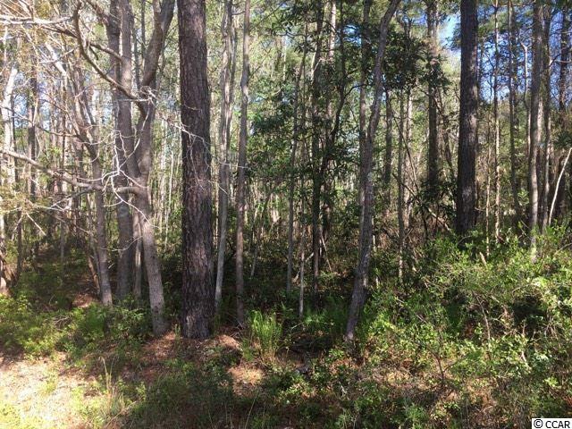 Lot # 35 Crooked Oak Dr. Litchfield Beach, SC 29585