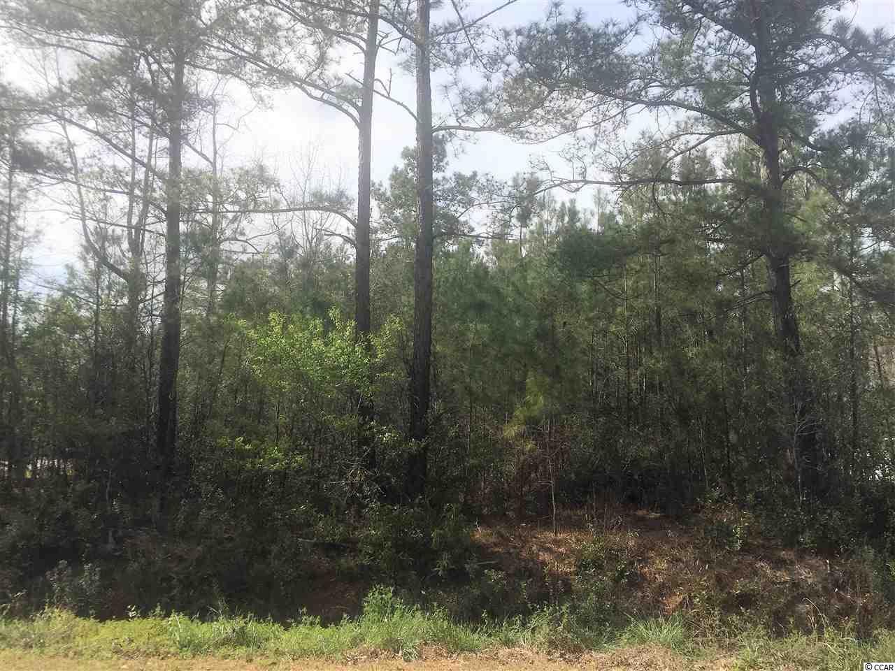 Lot 5 Allen St. Loris, SC 29569