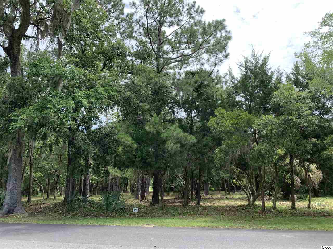 Lot 268 Bonnyneck Dr. Georgetown, SC 29440
