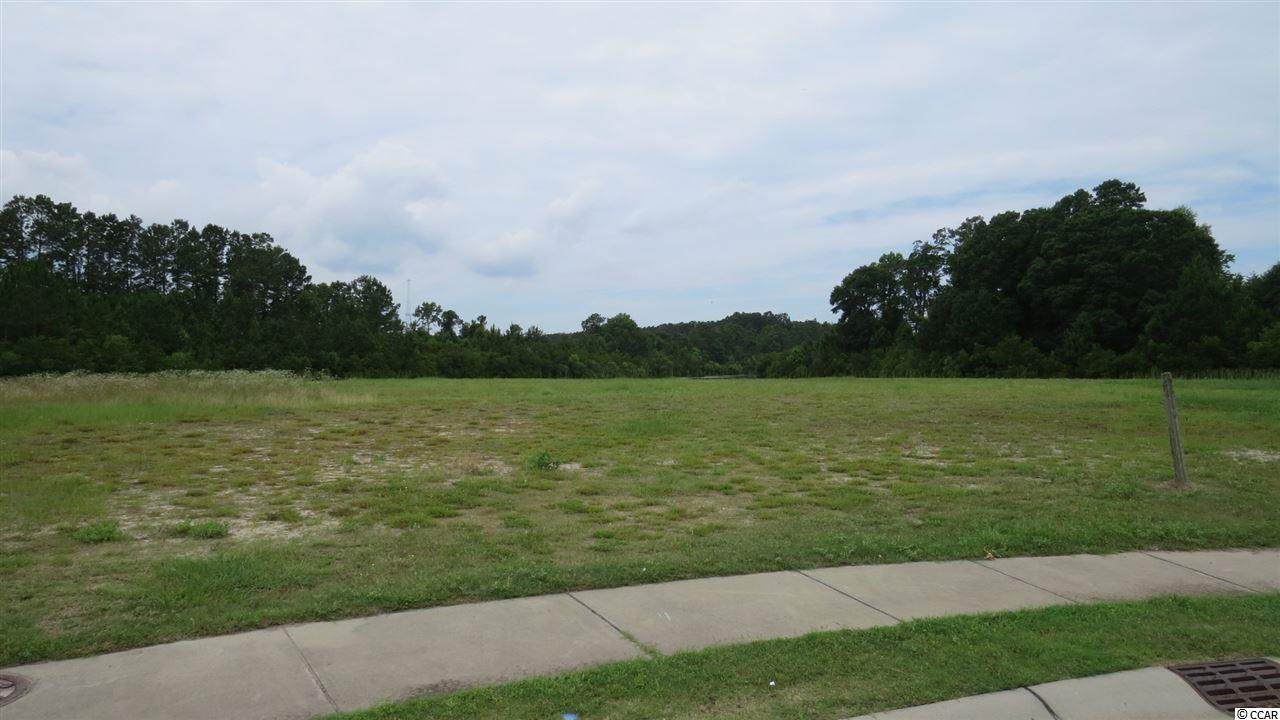 1001 Stilt Ct. Conway, SC 29526