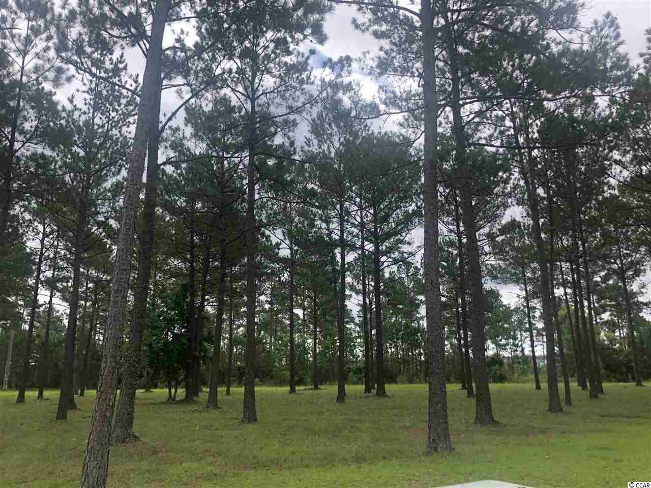 2532 Lavender Ln. Myrtle Beach, SC 29579