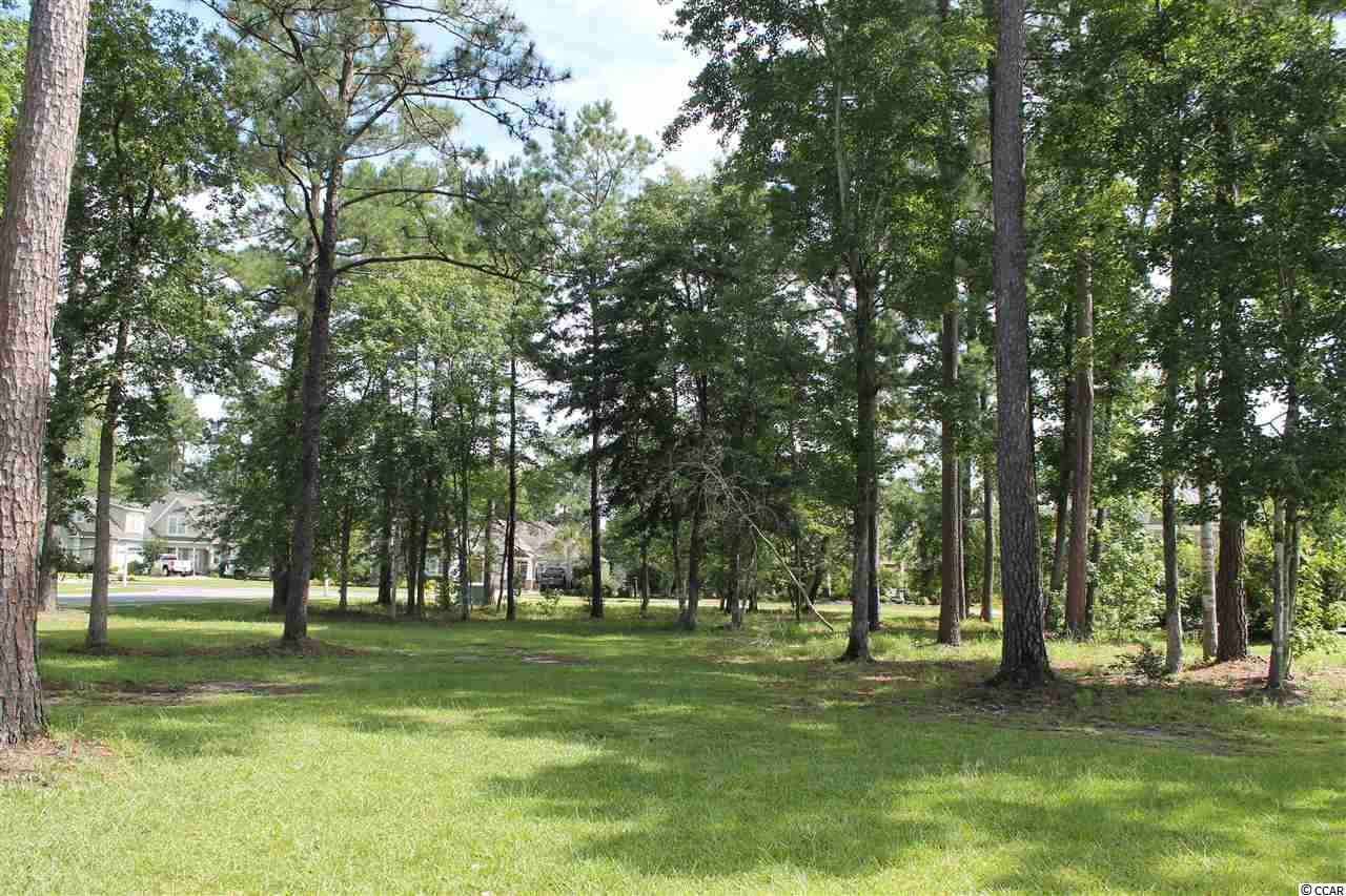 117 Henry Middleton Blvd. Myrtle Beach, SC 29588