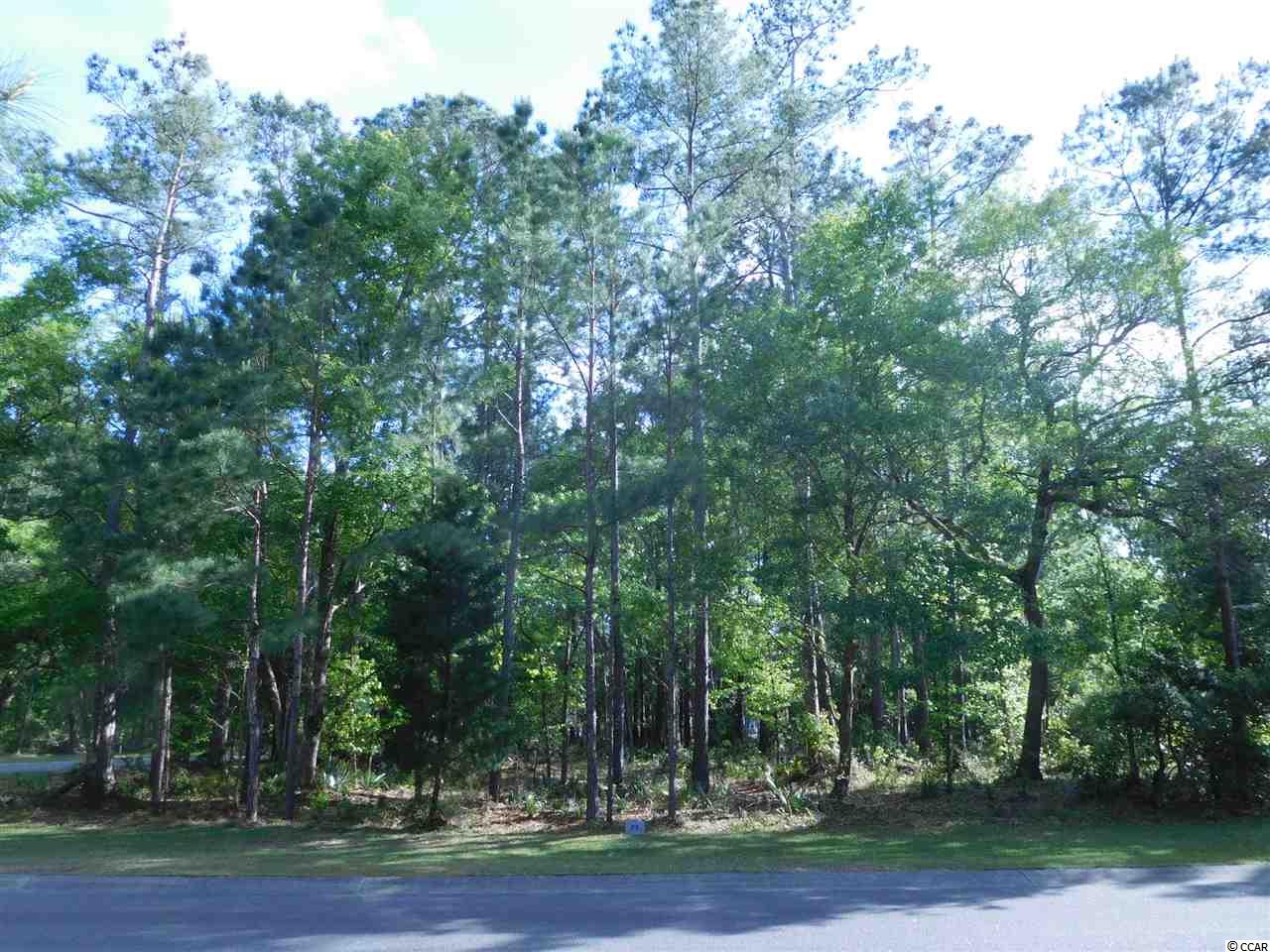 Lot 73 Lantana Circle Georgetown, SC 29440