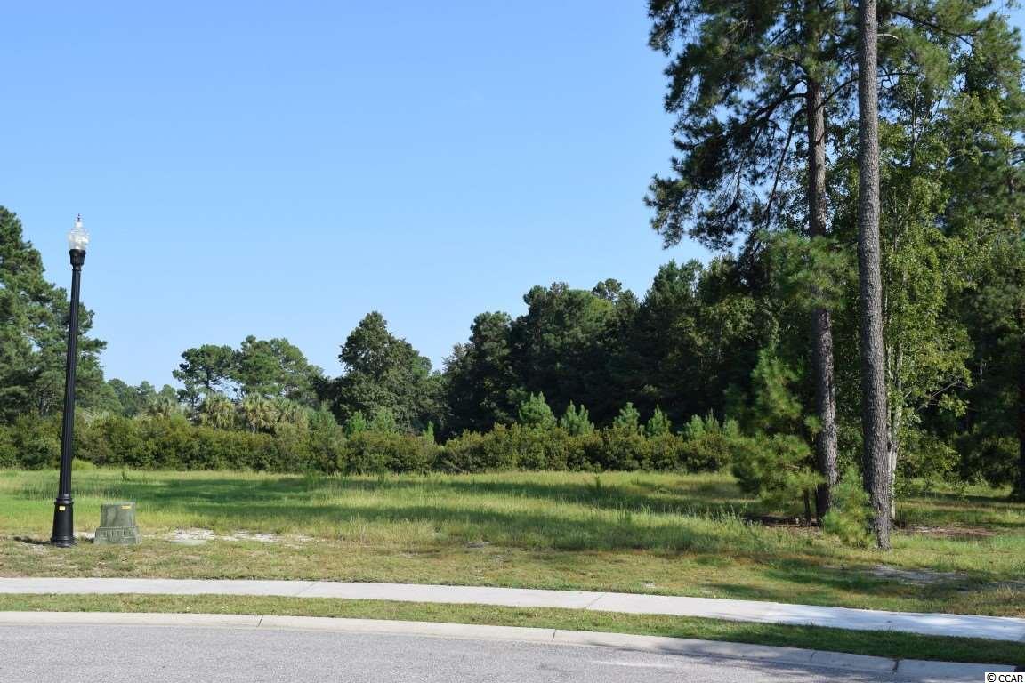 1001 Spoonbill Dr. Conway, SC 29526