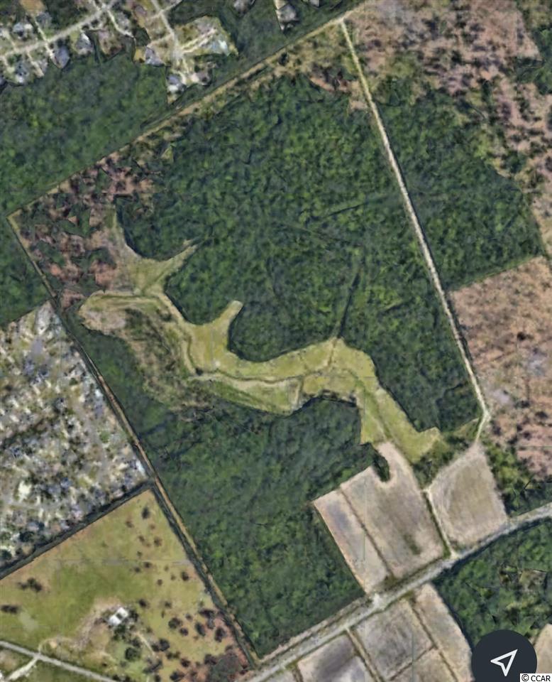 32.59 Acre Forestbrook Rd. Myrtle Beach, SC 29579