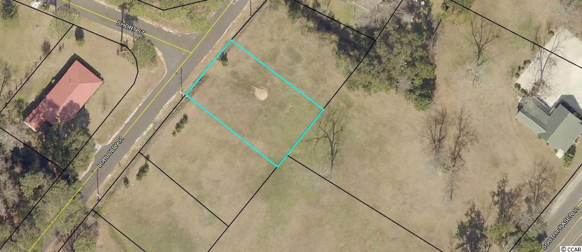 Loblolly St. Georgetown, SC 29440