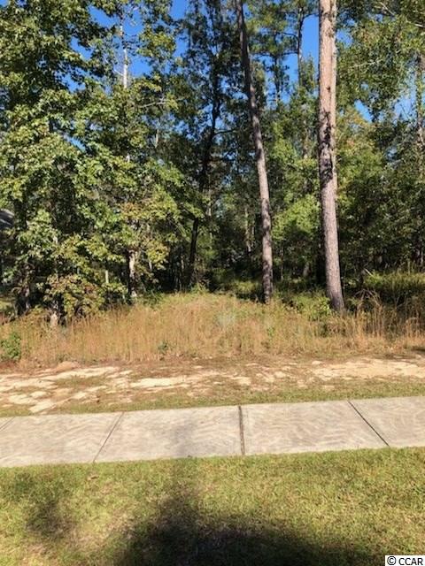 220 Chamberlain Rd. Myrtle Beach, SC 29588