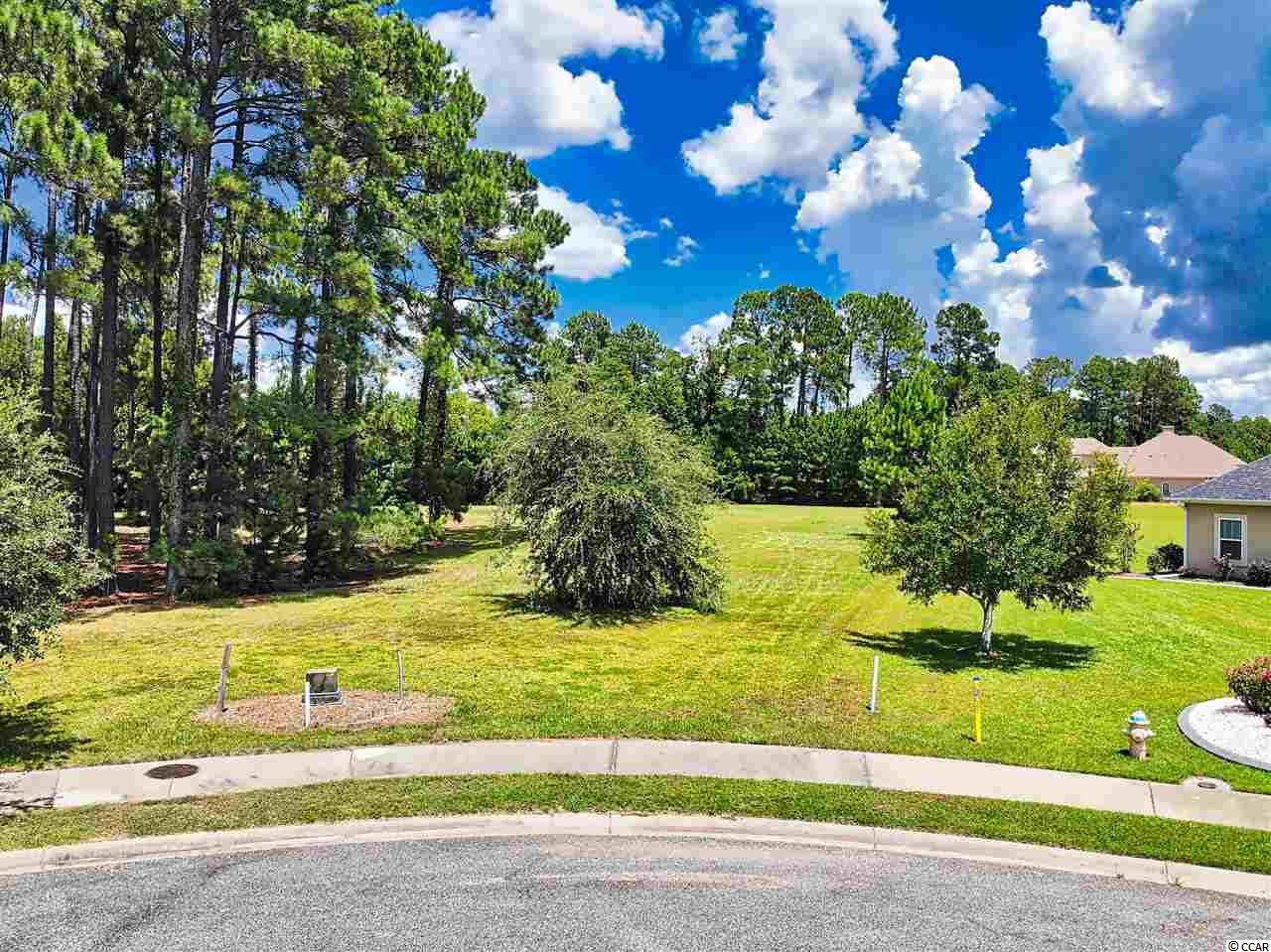 1056 Moorhen Ln. Conway, SC 29526