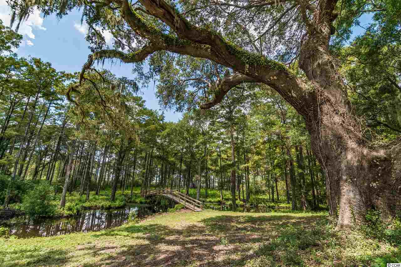 LOT A & B Joseph Isaac Way Pawleys Island, SC 29585