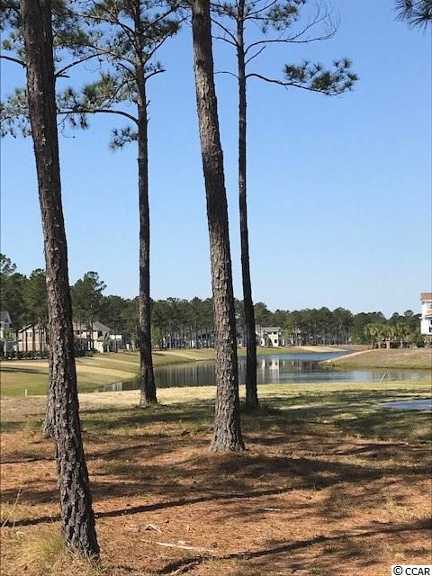 2541 Lavender Ln. Myrtle Beach, SC 29579